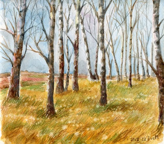 Autumn in a birch grove. Original watercolor artwork.