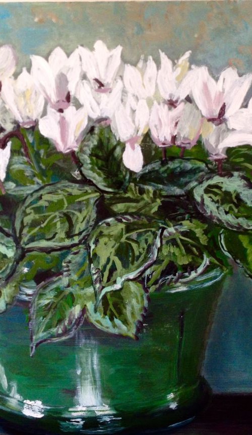 White cyclamen by Elisabetta Mutty