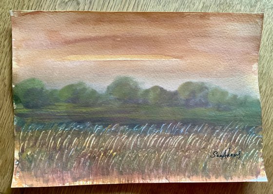 By the Grass Meadow