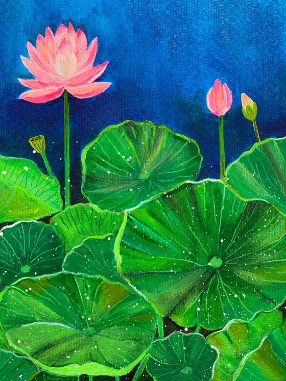 Lotus blooms ! A4 size Painting on paper