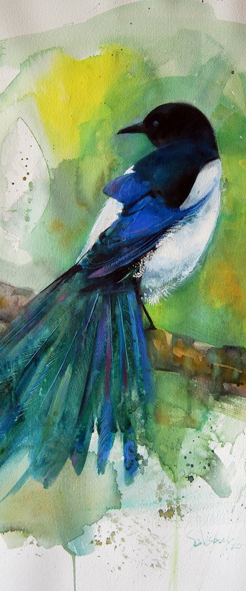 Eurasian magpie by Trevor Salisbury