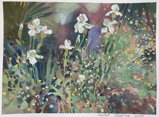 Irises in the garden