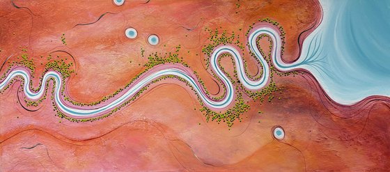 The Colour Of Belonging