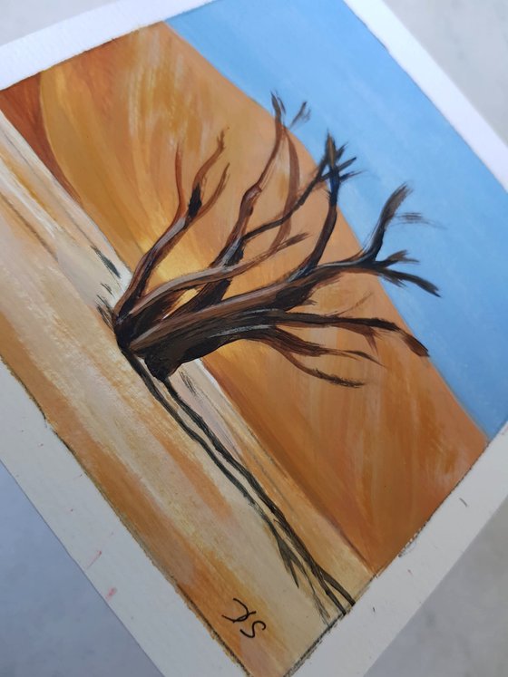 Desert Acacia Diptych