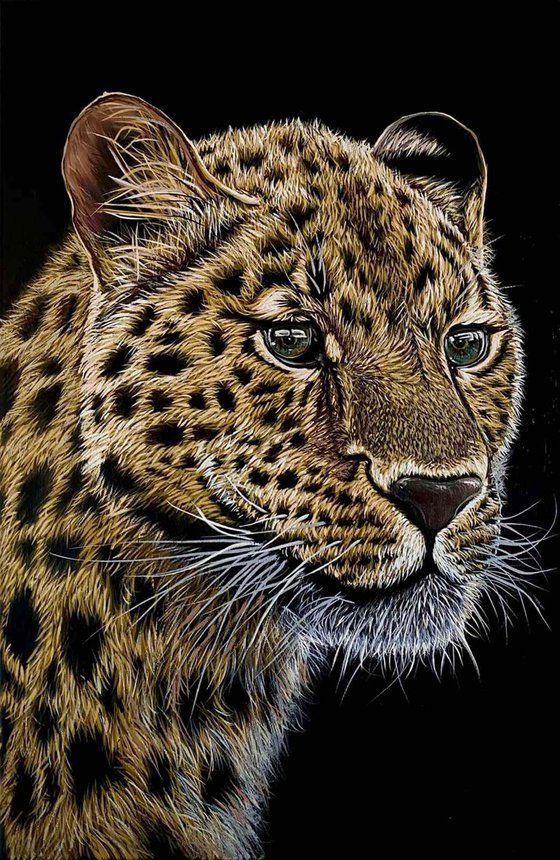 Leopard