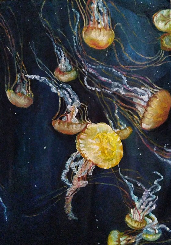 Sea nettle