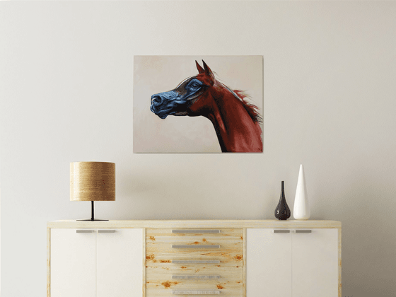 Arabian horse