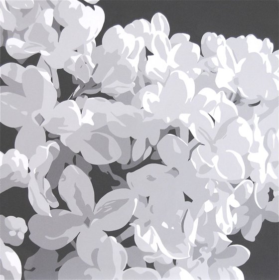 French White Lilac