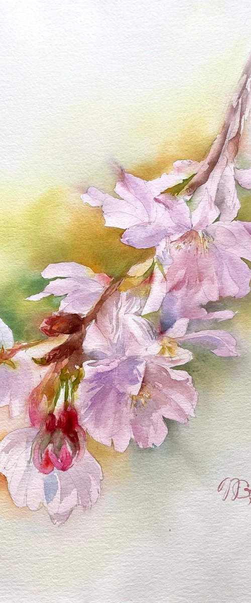Cherry Blossom by Natalia Galnbek