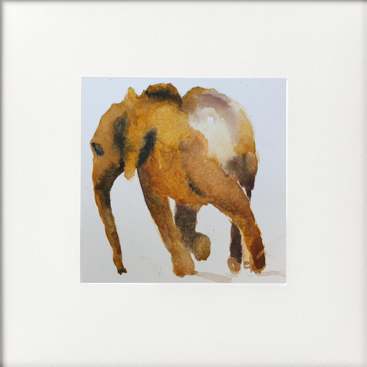 Baby Elephant by Teresa Tanner