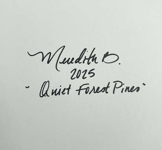 Quiet Forest Pines