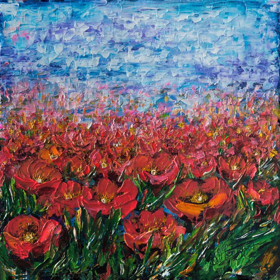 Red Poppy Field