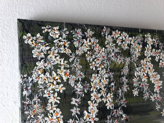 White Cherries 1