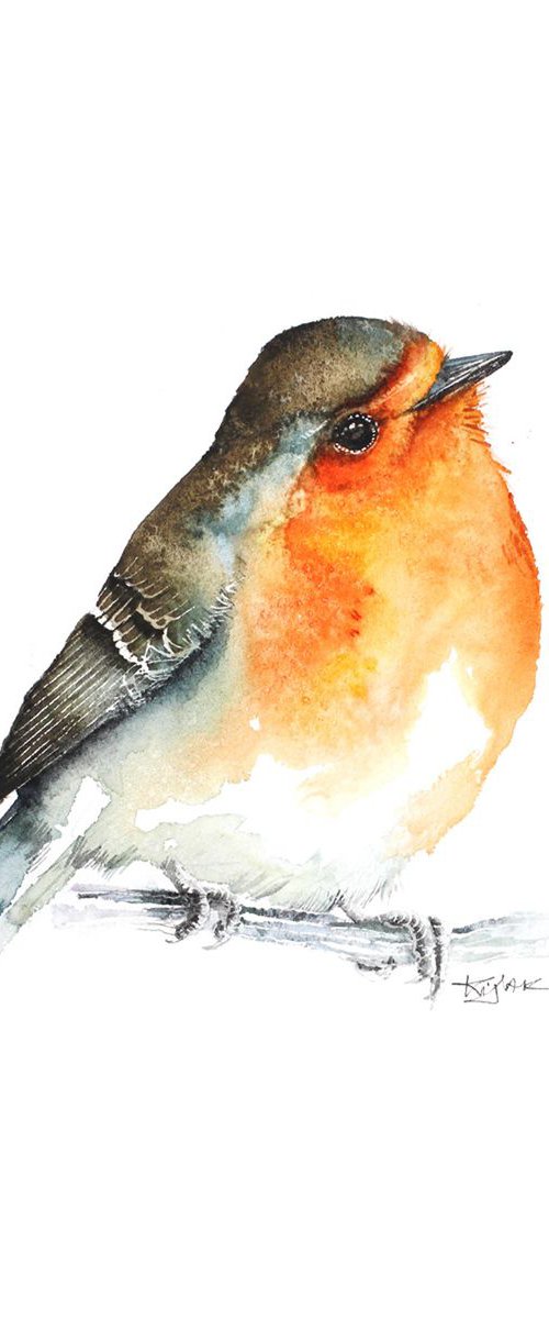 Robin 21x30cm, birds, wildlife and animals watercolours by Karolina Kijak