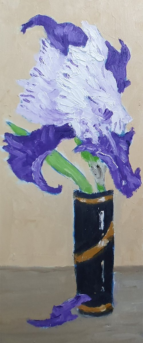 single iris VII by Colin Ross Jack