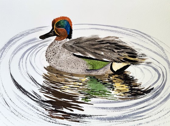 Drake Green Winger Teal