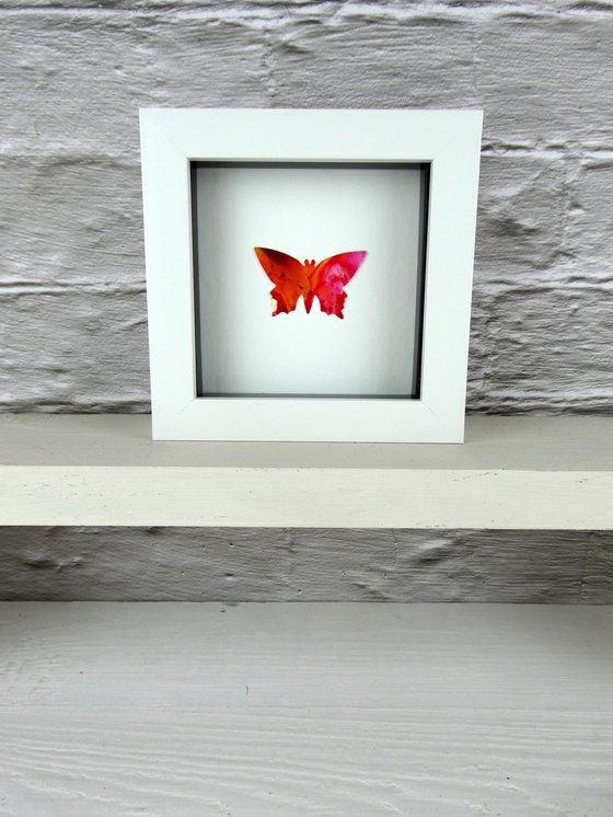 One Pink and Orange Butterfly