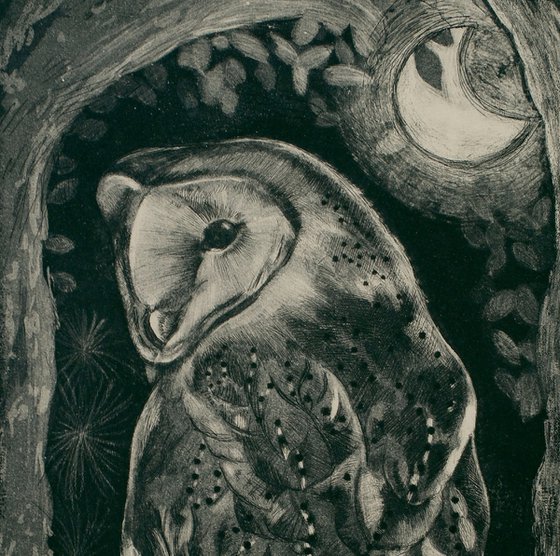 Barn Owl Etching