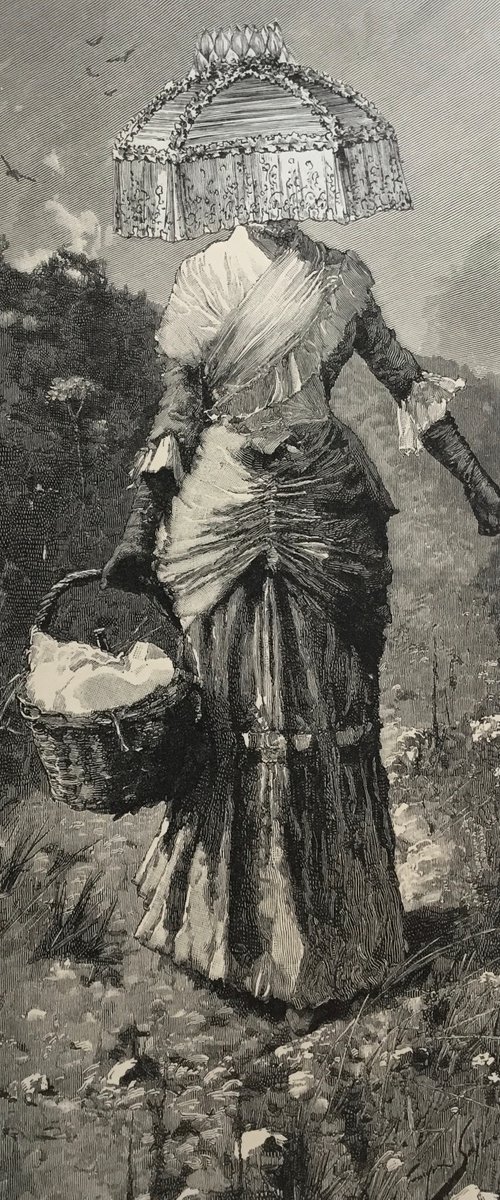 The Picnic Basket by Tudor Evans