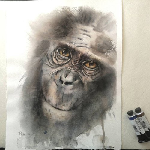 Monkey portrait by Olga Shefranov (Tchefranov)