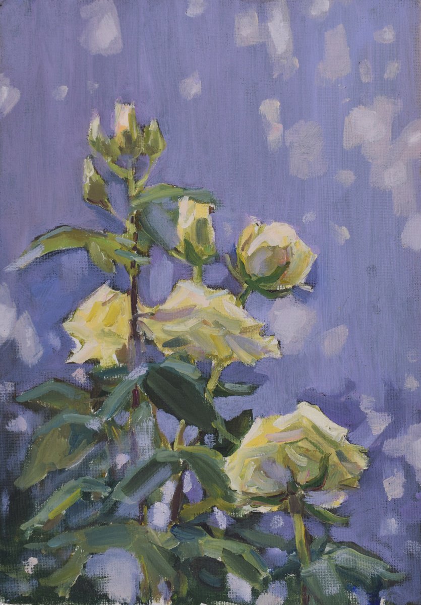 Roses in the garden. Etude. by Elena Sanina