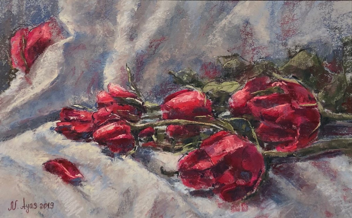 Red roses by Natalie Ayas