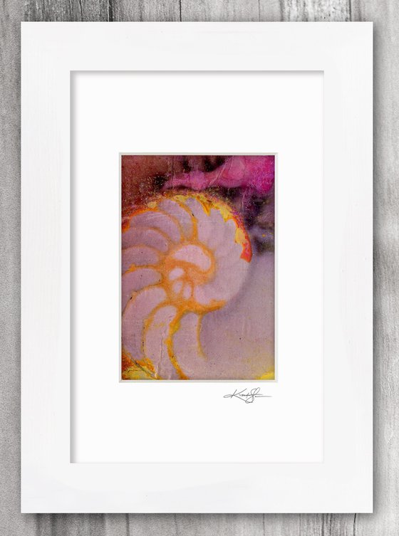 Nautilus Shell Collection 3 - 3 Small Matted paintings by Kathy Morton Stanion