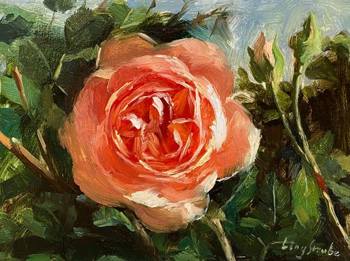 Rose Beauty #8 by Ling Strube