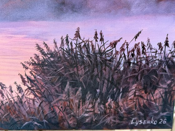 Moment of Tranquility