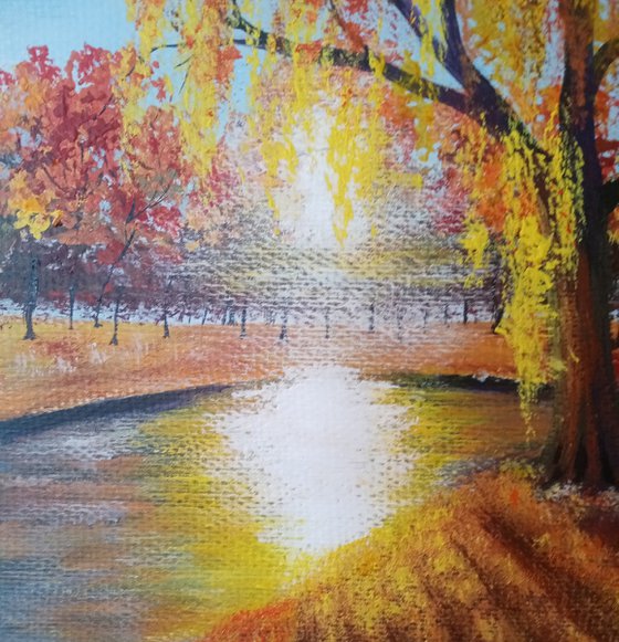 Autumn's Radiant Veil