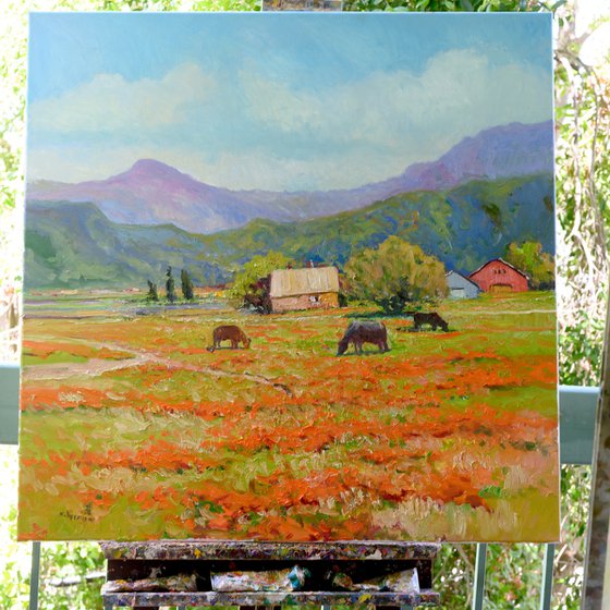 Farms in California