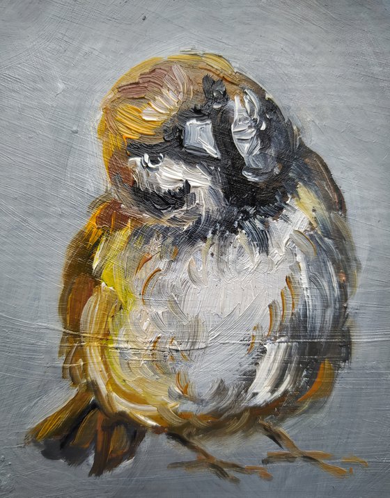 Sparrow - birds, oil painting, animal, bird sparrow, gift idea, small size, postcard size, postcards