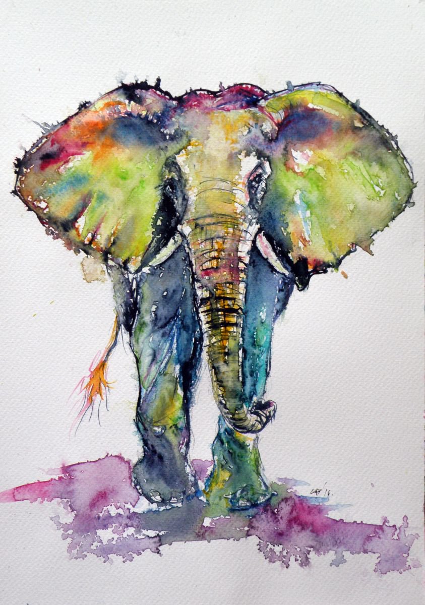 Colorful elephant by Kovacs Anna Brigitta