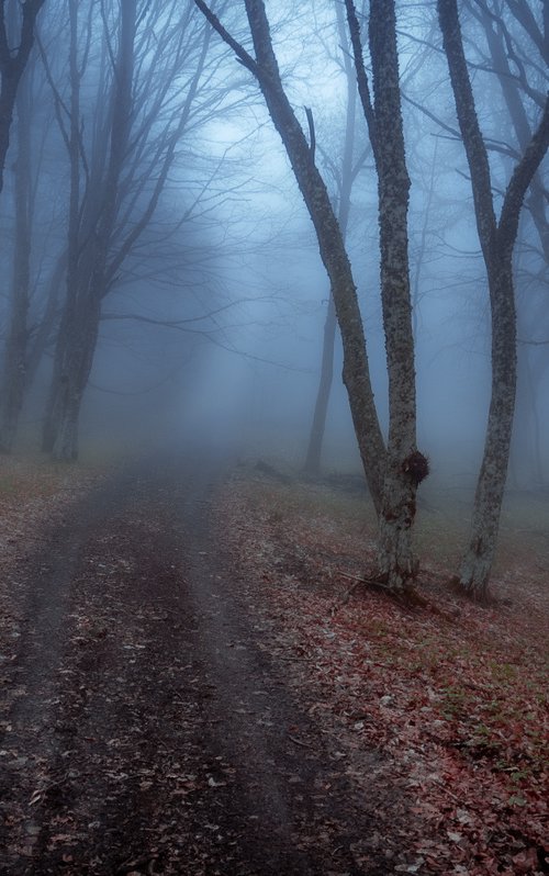 Mystery Trail by Vlad Durniev
