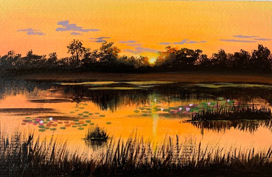 Water lily pond at sunset ! A4 Painting on paper