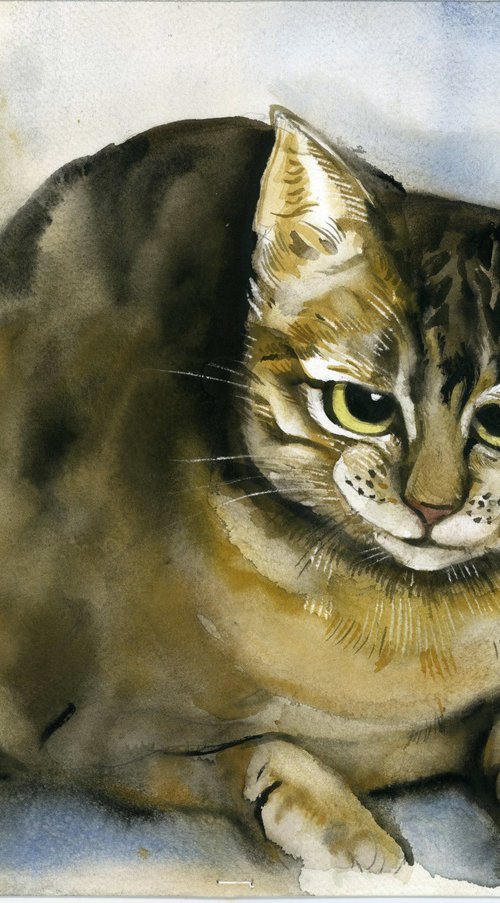bright eyes by Alfred  Ng
