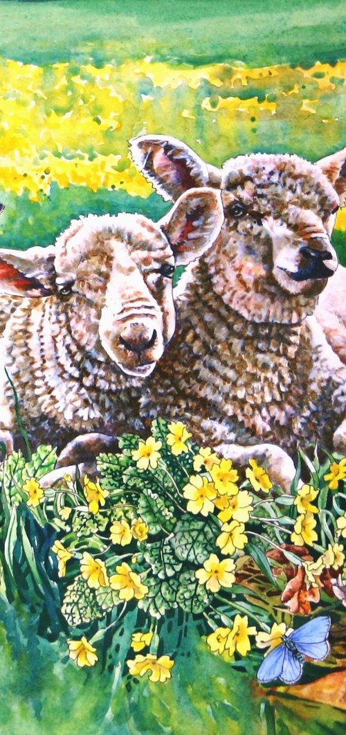 Spring Lambs by Zoe Elizabeth Norman