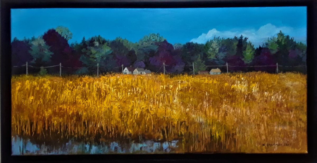 Tinicum Marsh in High Summer by Nancy Brockmon