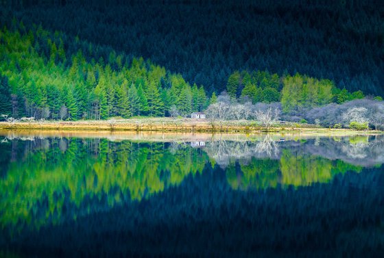 Tranquility at Loch Eck, Scottish Highlands
