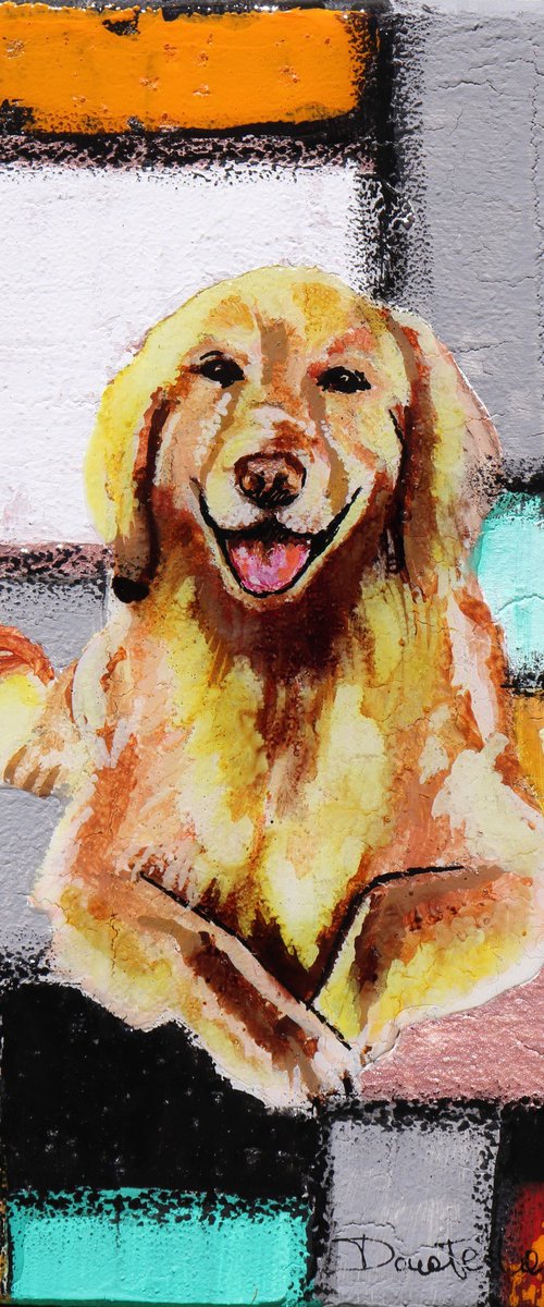 Happy dog by Donatella Marraoni