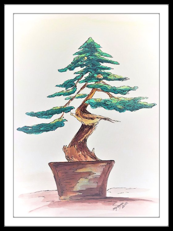 BONSAI III