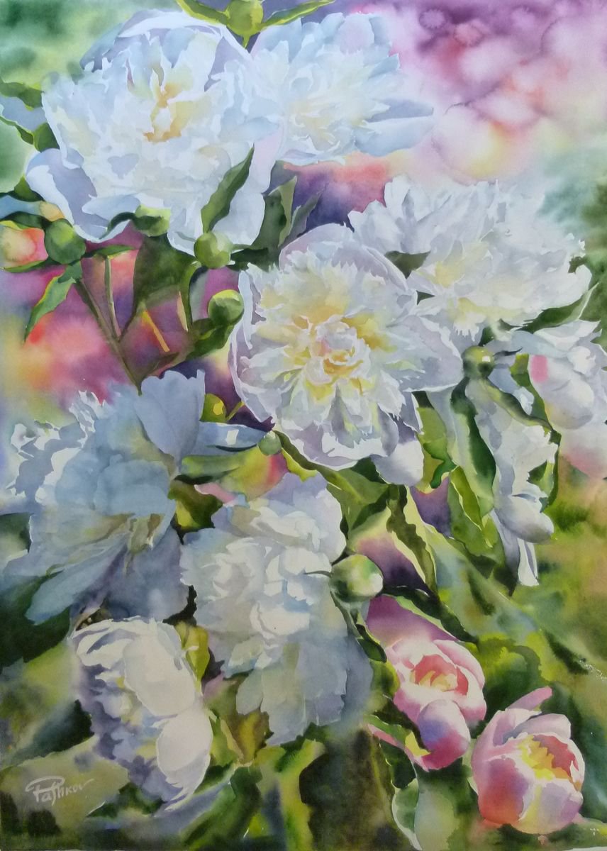 Impressionistic Botanical Watercolour By Yurii Pashkov, 22 X 30", White Peonies #6, Original Artwork