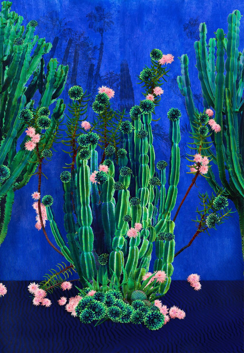 Surrealistic Botanical Photograph By Nadia Attura, 28 X 39", Cactus Majorelle, Original Artwork