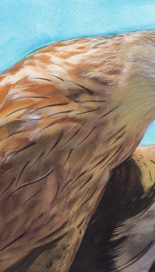 EAGLE - BIRD LXXIII by REME Jr.