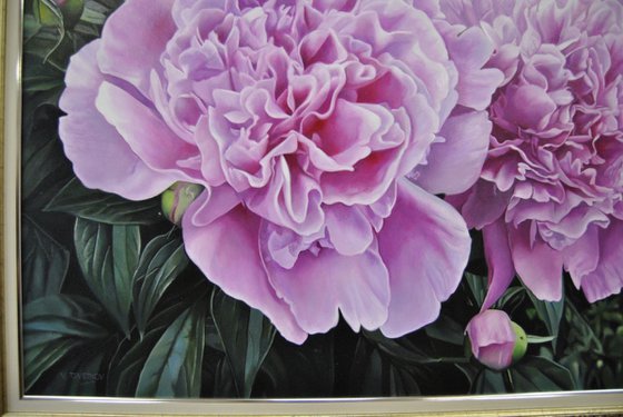 Peonies IV, Oil on Canvas Art