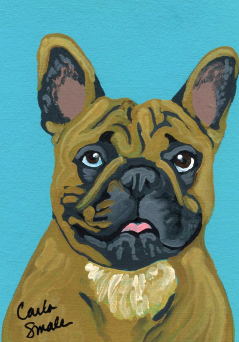 French Bulldog by Carla Smale