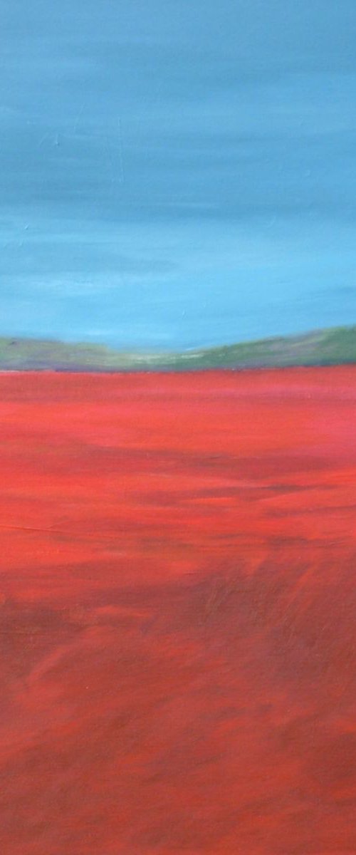 Poppy Field by Jan Rippingham