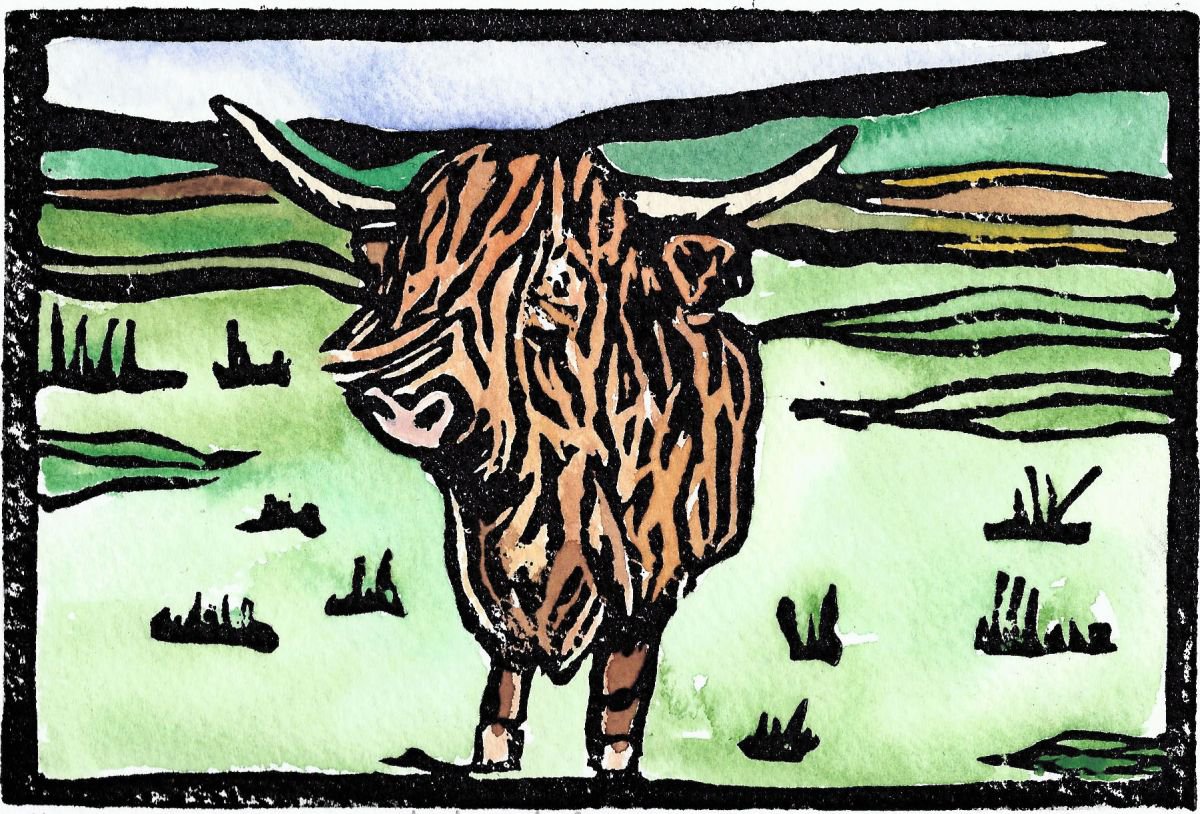 Highland Cow by Kirstie Dedman