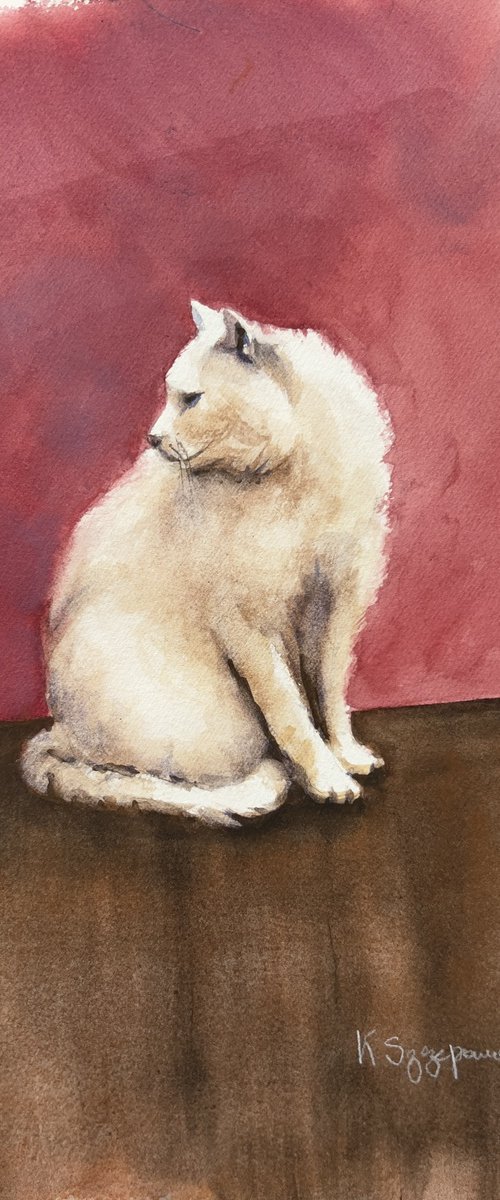 White cat by Krystyna Szczepanowski
