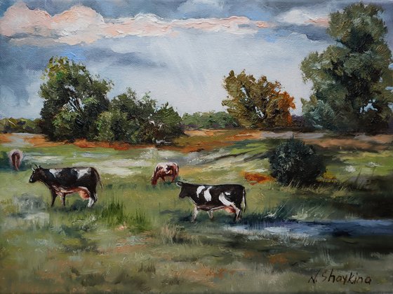 Grazing Cows